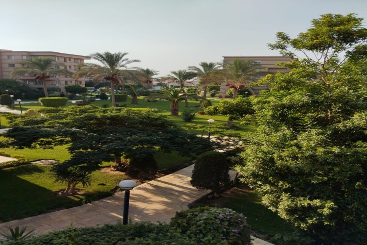  Furnished Apartment for Rent in-Al Rehab 