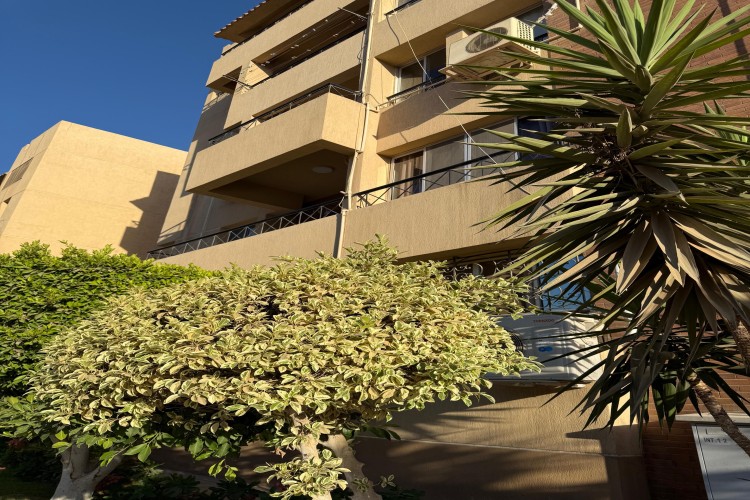  Furnished Apartment for Rent in Al Rehab – Premium Finishing 