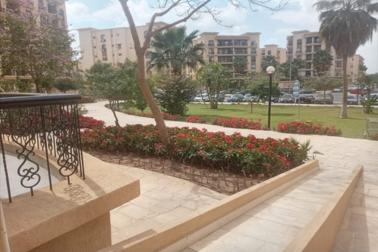  empty apartment for rent-al rehab city 