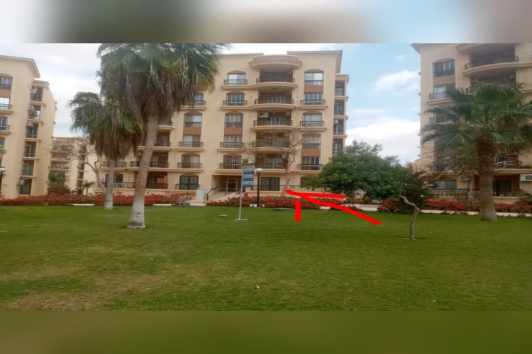  empty apartment for rent-al rehab city 