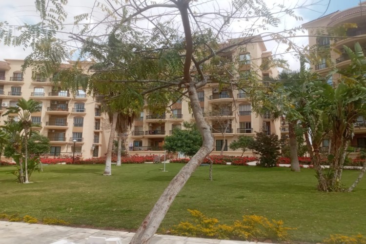  empty apartment for rent-al rehab city 