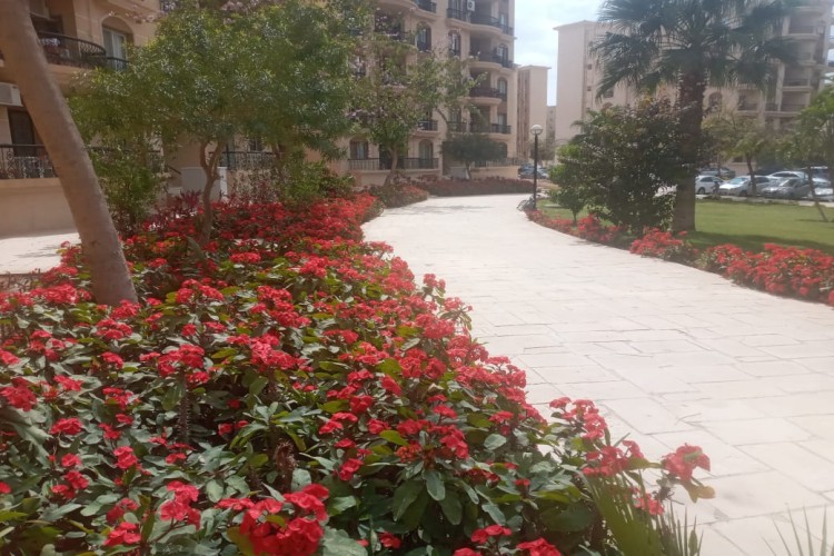  empty apartment for rent-al rehab city 